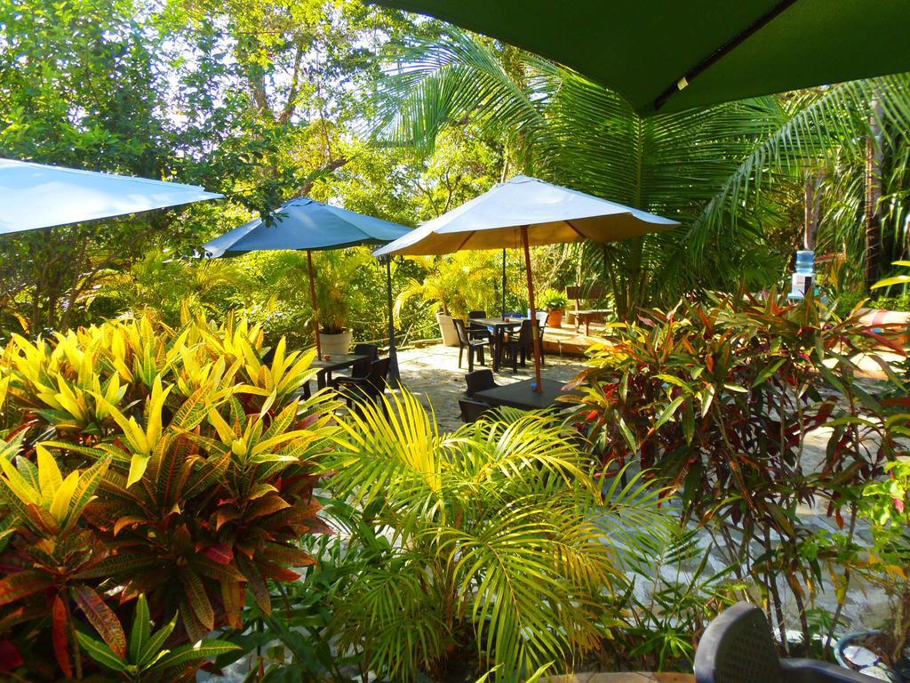Casa Del Sol Bed And Breakfast Contadora Island Dış mekan fotoğraf